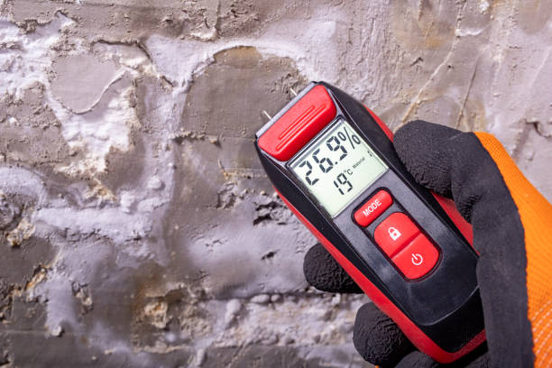 Best Kitchen Mold Remediation in Menlo Park, CA